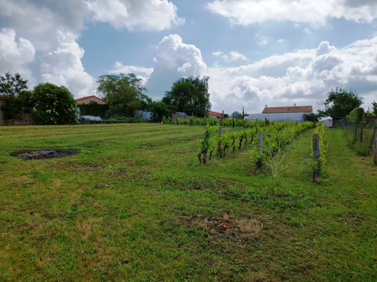 TERRAIN MONTIGNE MONTFAUCON